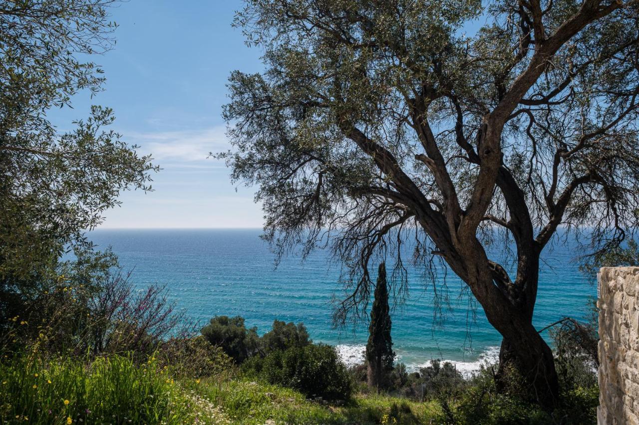 Villa Rustica Agios Gordios  Exterior photo